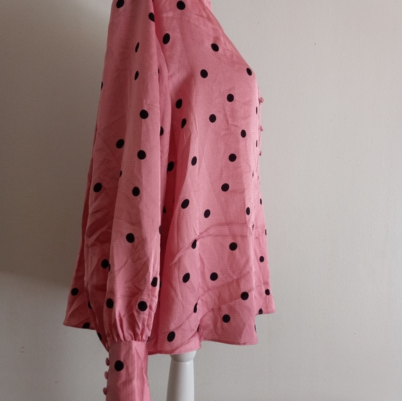 RYEGRASS Size X Large $20 - Picture 2 of 13